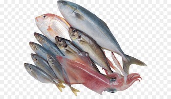 Kipper Sardine Fish products Mackerel Oily fish - Fish PNG 