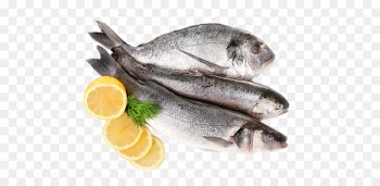 Kipper Seafood Fish as food - Fish 