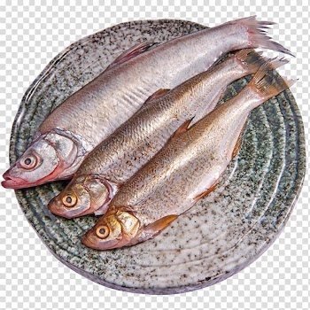 Kipper Soused herring Anchovies as food Wild fisheries, Miyun Reservoir pout fish wild fish transparent background PNG clipart