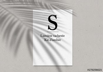 Kit d’ombre de lumière tachetée