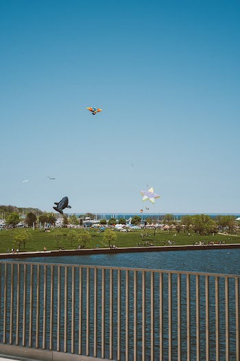 Kites Flying