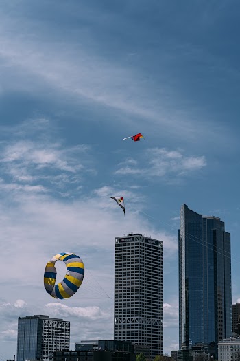 Kites Flying