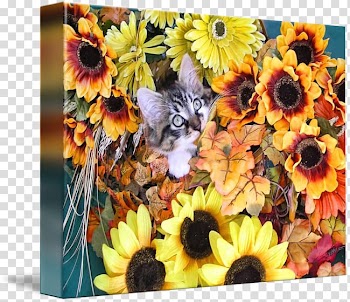 Kitten Autumn leaf color Cut flowers Floral design, kitten transparent background PNG clipart