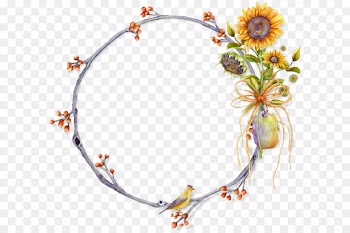 Kitten, Black Cat, Cymric, Plant, Flower PNG