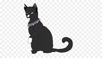 Kitten Black cat Whiskers Dog - kitten 