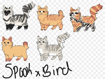 Kitten Cat Puppy Tiger Dog - kitten 
