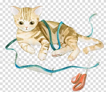 Kitten Cat Whiskers Watercolor: Flowers Watercolour Flowers, Watercolor cat transparent background PNG clipart
