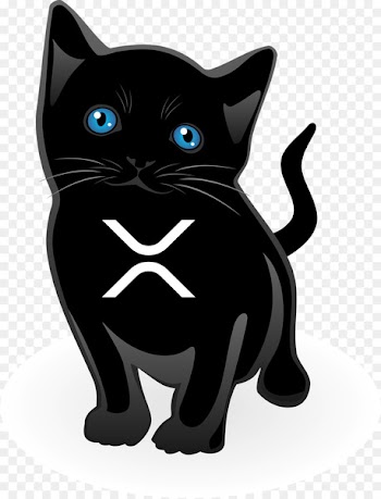 Kitten Clip art Black cat American Curl Sphynx cat - kitten 