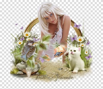 Kitten Frames Film frame, kitten transparent background PNG clipart