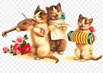 Kitten, Photography, Animation, Cat PNG