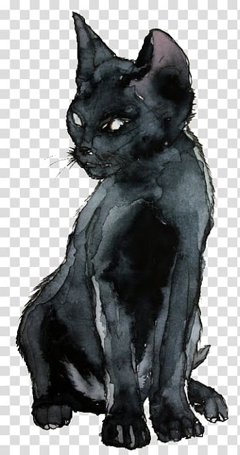 Kitten Sphynx cat Black cat Watercolor painting Drawing, kitten transparent background PNG clipart