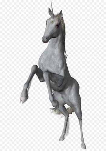 Kitten Unicorn Horse Cat Pony - unicorn 