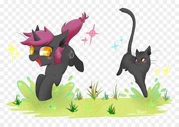 Kitten Whiskers Black cat Horse - snow warnings michigan 