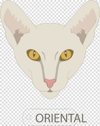 Kitten Whiskers Domestic short-haired cat , White cat transparent background PNG clipart