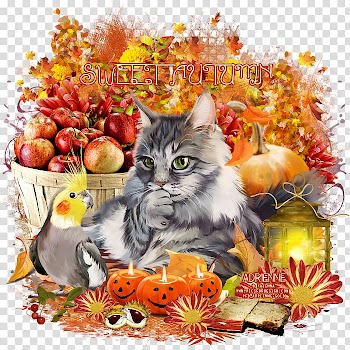 Kitten Whiskers Floral design, kitten transparent background PNG clipart