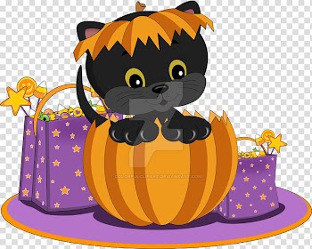 Kitten Whiskers , kitten transparent background PNG clipart