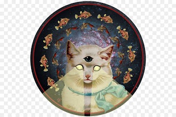 Kitten Whiskers Nyan Cat Pet - kitten 