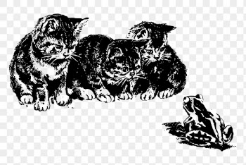 Kittens watching frog png clipart, | Free PNG - rawpixel