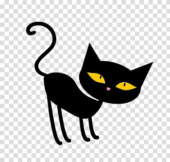 Kitty transparent background PNG clipart