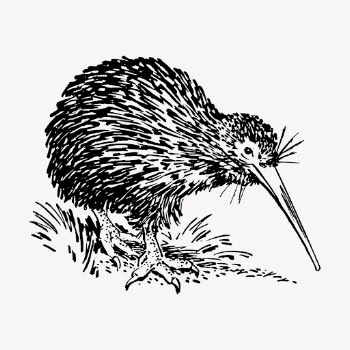 Kiwi bird hand drawn clipart, | Free Vector - rawpixel