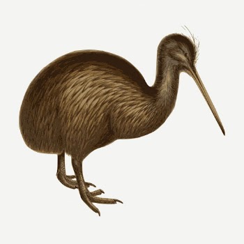 Kiwi bird sticker, vintage animal | Free PSD - rawpixel