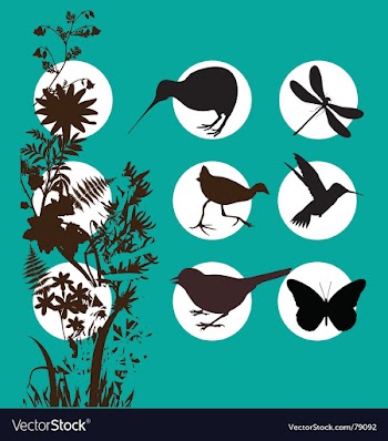 Kiwi bush vector image