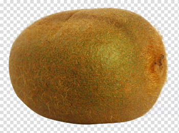 Kiwi Fruit File