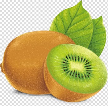 Kiwi fruit , Kiwifruit Vecteur Illustration, Kiwi transparent background PNG clipart