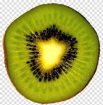 , kiwi fruit transparent background PNG clipart