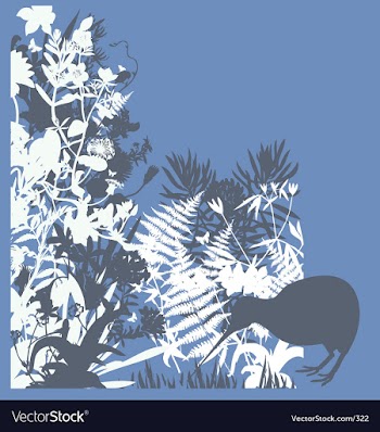 Kiwi in bush vector image