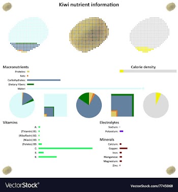 Kiwi nutrient information vector image