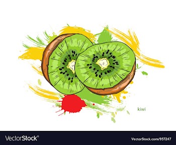 Kiwi with colorful splashes vector image