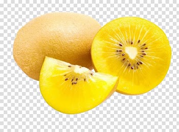 Kiwifruit Golden Kiwi Seed Fruit tree, Kiwi transparent background PNG clipart