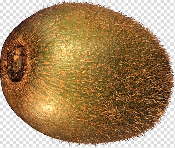Kiwifruit, Kiwi , free fruit kiwi transparent background PNG clipart