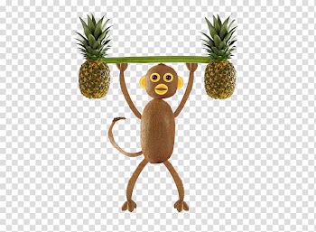 Kiwifruit Vegetable Food, Pineapple monkey transparent background PNG clipart
