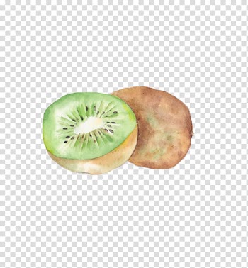Kiwifruit Watercolor painting, Painting Kiwi transparent background PNG clipart
