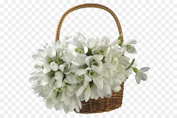 Klaipėda Floravitas Interflora Birthday Tarp geliu - Basket with Spring Snowdrops PNG Transparent Picture 