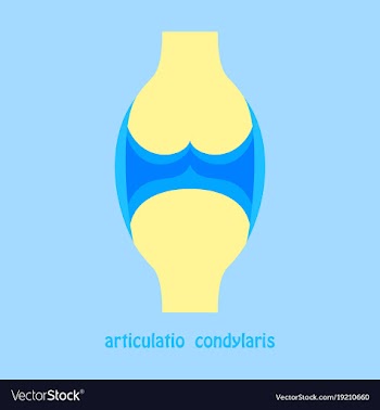 Knee joint health care icon flat vector image