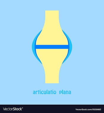 Knee joint health care icon flat vector image