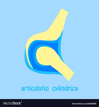 Knee joint health care icon flat vector image