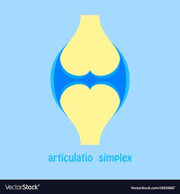 Knee joint health care icon flat vector image