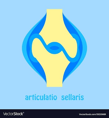 Knee joint health care icon flat vector image