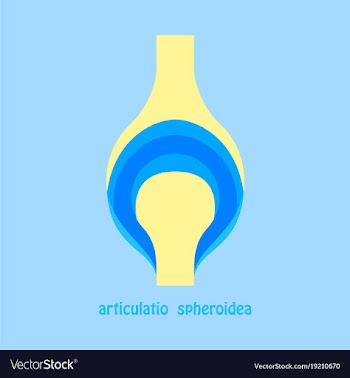 Knee joint health care icon flat vector image
