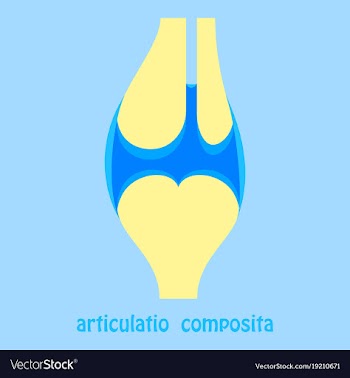 Knee joint health care icon flat vector image