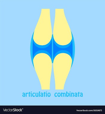 Knee joint health care icon flat vector image