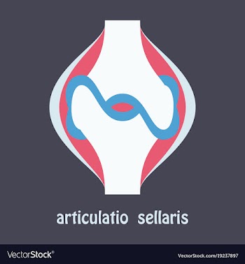 Knee joint health care icon flat vector image