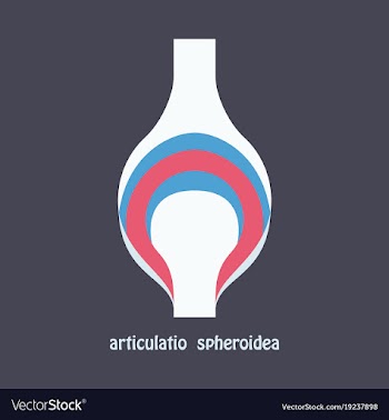 Knee joint health care icon flat vector image