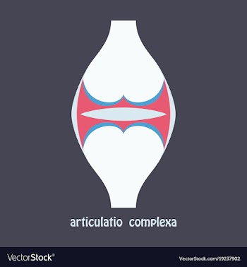 Knee joint health care icon flat vector image