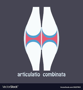 Knee joint health care icon flat vector image