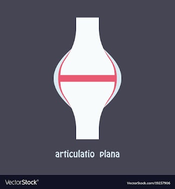 Knee joint health care icon flat vector image